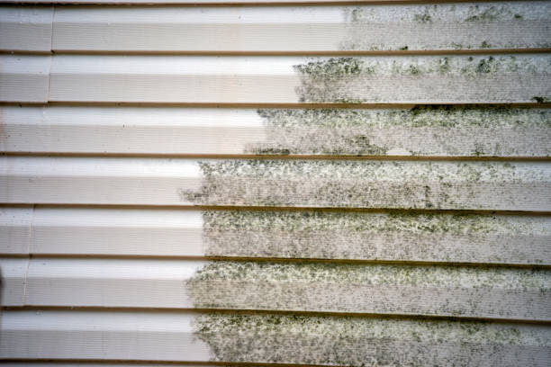 Best Carpet Removal and Disposal  in Helena Valley West Central, MT